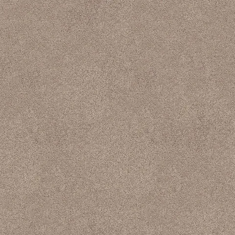 Whisper Grey carpet swatch